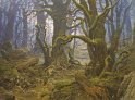 nasmithfangorn